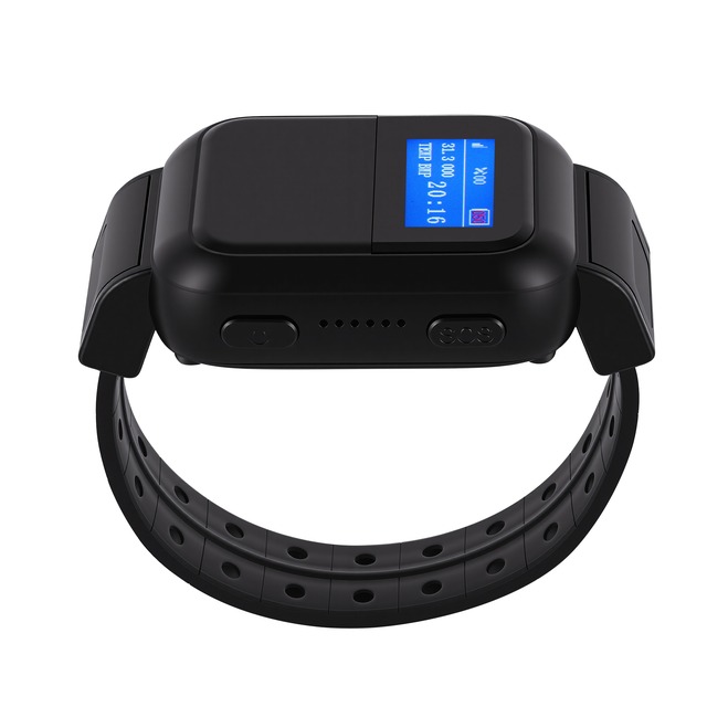 Monitor Tracker Elettronico Parole